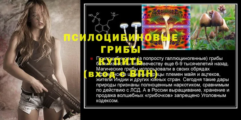 Галлюциногенные грибы Psilocybine cubensis  цены   darknet как зайти  Старая Купавна 